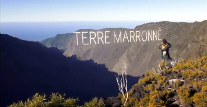 oi film terre marronne 1170