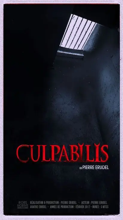 culpabilis, Pierre Erudel, entretien, La Réunion, vod, svod, film, film cinéma, fiction, court métrage