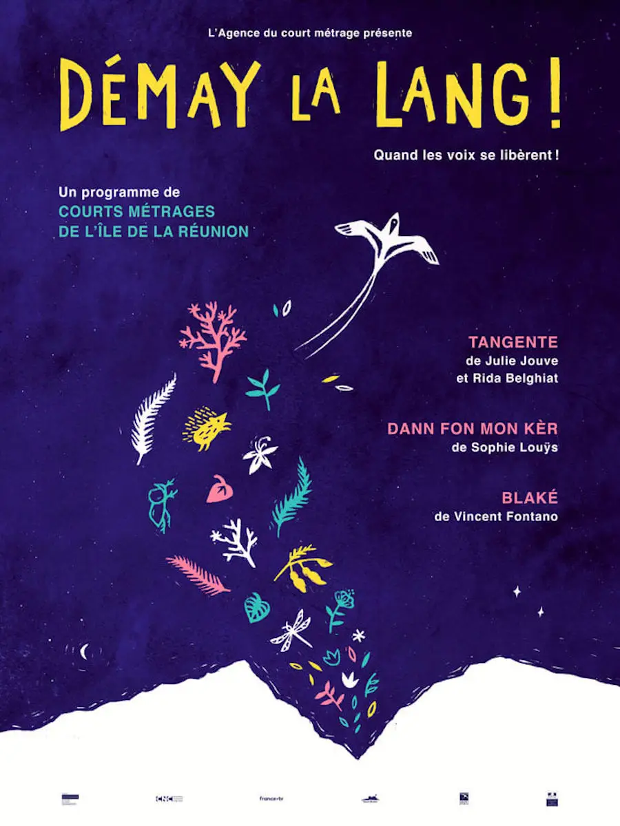 affiche du programme "Démay la lang" 