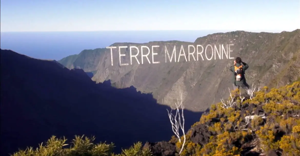 Affiche du film "terre marronne"